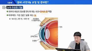 인간의 눈 이해: 시각기능 교정이란? 1강