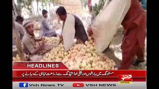 Vsh News | HEADLINES 09 PM | 03 September 2024