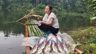 The girl caught a lot of fish and shrimp in the lake to sell, making a living on the lake - Pham Tâm