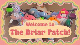 Welcome to The Briar Patch - An Intro to me and my Art!