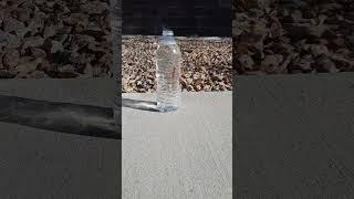 Black Spider Firecracker vs water bottle  #shorts #firecracker