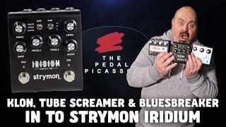 KLON, TUBE SCREAMER & BLUESBREAKER IN TO STRYMON IRIDIUM