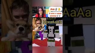 Видео с Бананом из Тик Тока