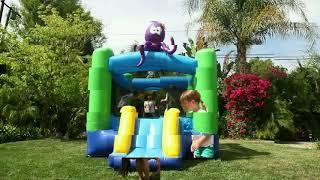 Octopus Inflatable Party Equipment Rental Service in Montreal