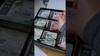 World of Tea Collection