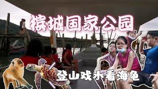 槟城国家公园登山戏水游记 | Kerachut沙滩看海龟 | 猴子沙滩嬉水玩乐 | Trvl Dt: 06/11/2021