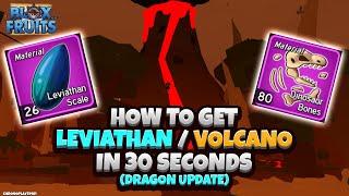 How to get Volcano Island / Leviathan in 30 SECONDS [No Exploits] (Blox Fruits Dragon Update)