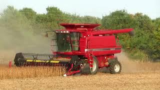 Harvest 2020 | Case IH Axial Flow 2366 Combine Harvesting Soybeans | Soybean Harvest 2020