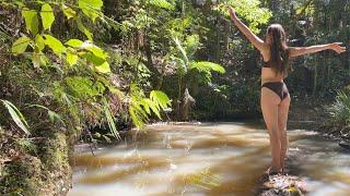 Living in Nature’s Rhythms: Off Grid in the Australian Rainforest