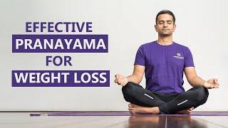 Super-Effective Pranayama For Weight Loss | @YogawithNaveen