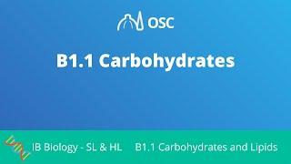 B1.1 Carbohydrates [IB Biology SL/HL]