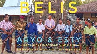 BELIS - Bawa Babi Nikah Keluarga Besar Kodi SBD & Kabondok Sumba Tengah | Budaya Sumba