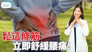 鬆這條筋立即舒緩腰痛-脊醫王鳳恩 (中/Eng Sub) Do this stretch to relief lower back pain - Dr Matty Wong DC