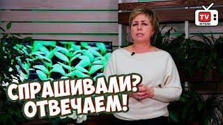 Спрашивали? Отвечаем!  Препараты СИЯНИЕ 1, 2, 3 совместимость