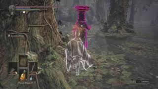 DS3 sl40 lucky  parry strength  build