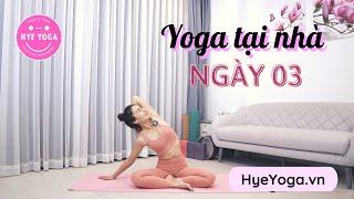 Yoga Tại Nhà | Ngày 03 | Hye Yoga