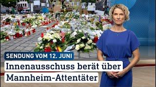 Innenausschuss berät über Mannheim-Attentäter | hessenschau vom 12.06.2024