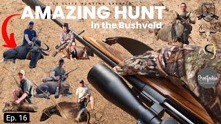 AMAZING Hunt in the Bushveld