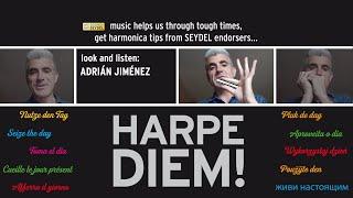 HARPE DIEM! Some TRAINing on a G-harmonica with Adrián Jiménez - SEYDEL