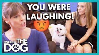 Owners Laugh at Own Dog urinating itself | It’s Me or The Dog