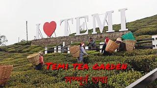 Temi Tea Garden | South Sikkim Offbeat place | Cherry Resort | Namchi | Chaar Dham | New Place