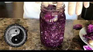 Lacto-Fermented Garlic Sauerkraut Recipe