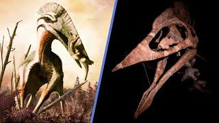 Meet Dracula - The Largest Pterosaur That Ever Flew? | BoneHeads in Germany (Part 2)