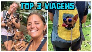 TOP 3 VLOGS DE VIAGEM | AS VIAGENS PET FRIENDLY DO CANAL MAIS VISTAS