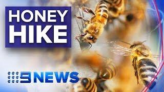 Why Australian honey is set for a price hike | Nine News Australia