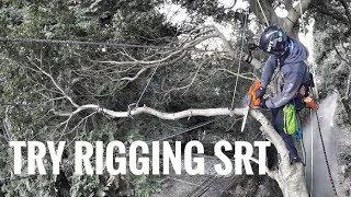 Tree Climbing / Rigging / Traverse / Chaptain Hook /Bulldog Bone / Bola / Gopro