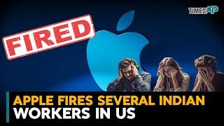 Apple fires 185 employees along with Indians in US over fraudulent donations scheme