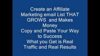 How To Build An Email List Fast  ****Copy and Paste Quick****