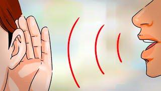 7 Психологических Эффектов, Которые Влияют на Ваше Поведение. Когнитивные Искажения.