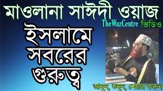 ইসলামে সবরের গুরুত্ব। Maulana Delwar Hossain sayeedee Waz