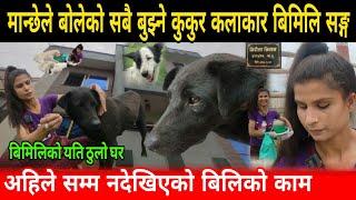 कलाकार बिमिलिको घरमा सुटुक्क पुग्दा अहिले सम्म नदेखिएको काम देखियो Susila Neraula Bimili Dog lover