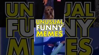 Unusual Funny Memes  Watch till the end  Daily Funny Videos pt.359