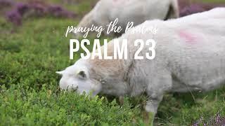 Psalm 23 - Praying the Psalms  - NewStart Discipleship Resources