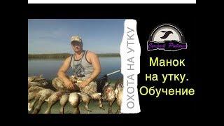 Обучения игры на утином манке