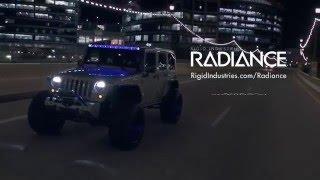 RIGID | Radiance™ - LED Light Bar with Back-lighting