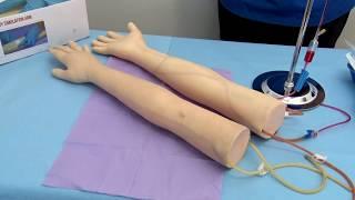 Setting up The Apprentice Doctor® Phlebotomy and IV Skills Training Arm