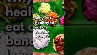 Why is it healthy to eat on banana leaves? Health benefits of banana leaves #shorts #bananaleaves