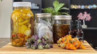 DIY Herbal Remedies: Powerful Medicinal Recipes to Try at Home