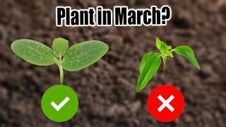 10 Vegetables to Plant in March