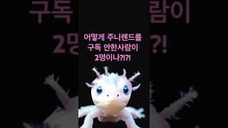 두비두밥
