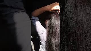 half  bun hairstyle hack/ #hair #hairstyle #hairtutorial #hacks #shorts #bun #youtube