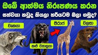 ඔබේ ආත්මය නිරූපණය කරන සත්වයා කවුද කියලා හරියටම බලා ගමුද ? | Let's Find Who is Your Spirit Animal