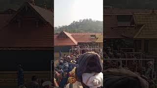 swamiyae ayyapa #sabarimala #ayyapan #saranamayyappa #ayyappa