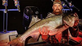 West Point Lake GIANT Striper….got measurements and release!