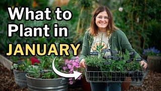 JANUARY PLANTING GUIDE: Top Veggies, Fruit Trees, Flowers & Herbs For Mild Winter Gardens