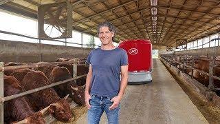 Lely Vector -  Fattening beef cattle with automatic feeding